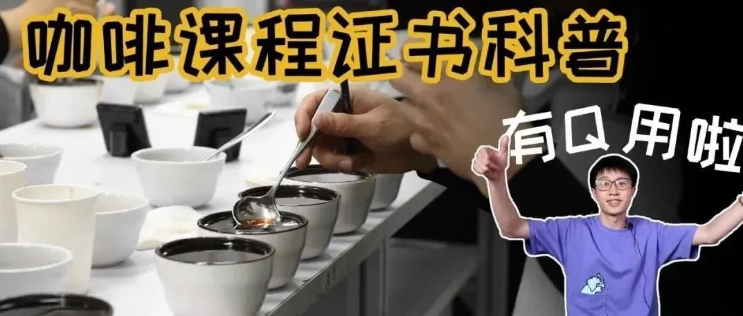 咖啡證書有用嗎？培訓(xùn)課程怎么選？一篇幫你看懂